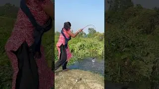 Amazing hook fishing by Village cute beautiful lady In the canal #fishing_trapping #fishingmethod