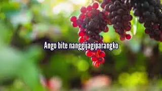 Angan drakka budu | Thillinson Momin | garo gospel song