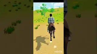 The Most INSANE Moments in HORSE RACING