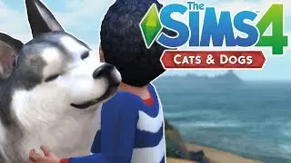 DOGGO ATTACK - The Sims 4 Cats and Dogs | Episode 28