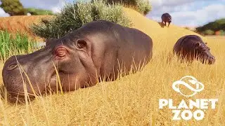 A SUPER SAVANA - Vida Selvagem  - Planet Zoo