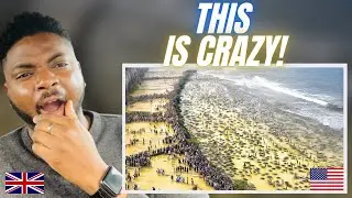 WHAT HAPPENS IF SOMEONE INVADES AMERICA? -  Brit Reacts