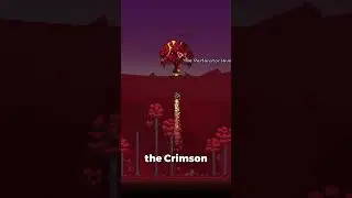 ВСЁ в Calamity Pre-Hardmode за 1 минуту! #terraria #calamity #tmodloader