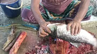 Mastering Rohu Fish Cutting || Techniques For Perfect Fillets Precious Guide 