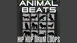 Funny Hip Hop Bear