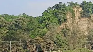 Voice of Tahira  is live!বিকেলে শীতল হাওয়া