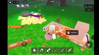 I play 99 with my sis but it made her log out