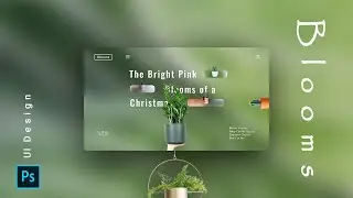 Plants & Pots UI Design Using Photoshop || UI/UX, Visual Design, adobe ||