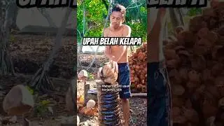 Upah kerja kelapa dalam #kelapa