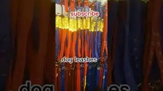 Dog leashes, hundreds of them #shorts #dogleashes