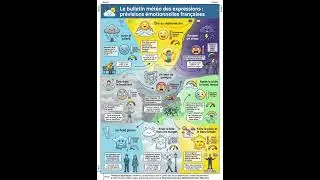 100 Illustrated French Expressions - FREE Book! #science