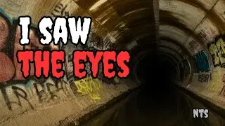 I Saw Eyes Watching Me Deep Inside a Drain Tunnel