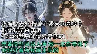 【一口氣看完】我被脫去外 按跪在漫天的寒冷中，他問我是否知錯，凍僵的我只能伏跪著低頭，想著快些回奴人庫 他一定在等我了，他說好會為我過生辰的#古言 #有聲小說 #情感故事