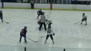 Northbrook Bluehawks vs Ice Dogs - Peewee Hockey - 5/21/23