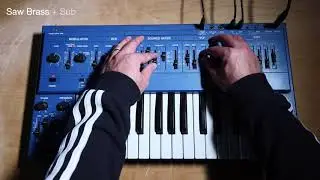 SH101 Raw Tone :: Singularity Riff