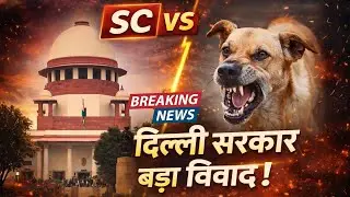 Delhi Govt Clarifies: Teachers NOT Counting Stray Dogs | Aaj Ki Breaking News