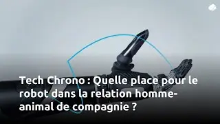 Tech Chrono | Quelle place pour le robot dans la relation homme-animal de compagnie ?