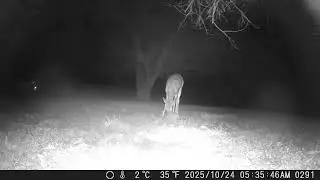 Archive Files of Trail Camera Compilation 20251027 H