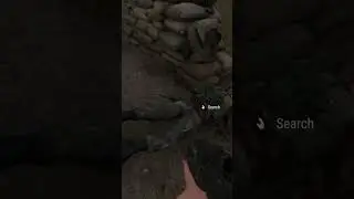 when none of the squad can fly a helicopter... #armareforger #gaming