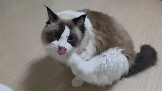 약속을 지켜요