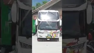 Telolet Bus NPM Tuan Muda