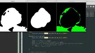Blop Approximation with Ellipses using OpenCV and Dlib