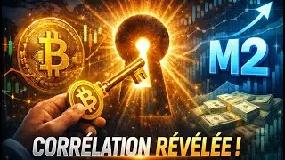 Bitcoin: global liquidity provides the answer!