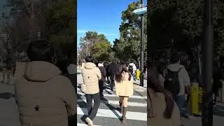 Suddenly missing Japan Bird whistle 🥲🥹#youtubeshorts #shorts #japan #viral #trending