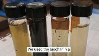 Recycling phosphorus from wastewater to grow better crops