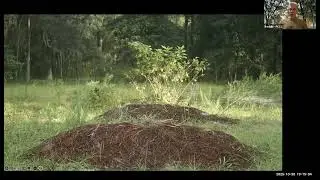 Conservation Burial as Climate and Community Action