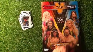 Topps WWE RAW v NXT v SMACK DOWN LIVE Bumper Sticker Collection (2018)