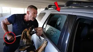 K9 Senses Danger Inside Locked Car, Leads to Rescue of Boy Forgotten in 97 Degree Heat