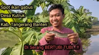 Spot mancing ikan gabus Kabupaten Tangerang Banten Desa Kutruk