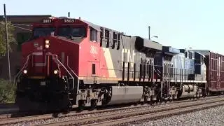 Northbound Canadian National Mixed Freight Train