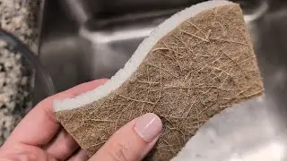 Why these sponges are different