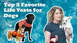 Our Top 3 Favourite Dog Life Vests | Pisces Pets