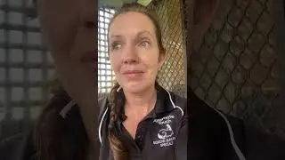 What I learned from my experiences with sand colic in horses