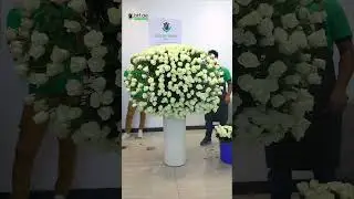 Dubai's Luxurious Flower Delivery | Black Tulip Flowers
