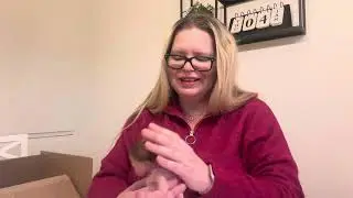 Box opening reborn baby Lily ( by Joanna K)
