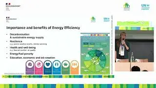 Thematic session - Passive design for cooling and heating: Resilient buildings