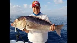 2017 - The year of the dentex! Fishing for Dentex, Amberjack, Barracuda, Tuna, Bonito and more