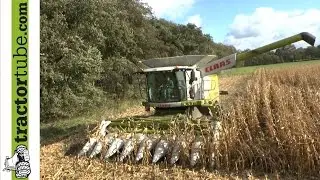 Mais dreschen auf feuchtem Boden mit Claas Lexion 670 TT - Maize harvest - Corn harvest 2013