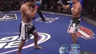 Jose Aldo vs Urijah Faber highlights (brutal leg kicks)