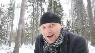 Hyv&auml;n mielen valokuvausta mets&auml;n siimeksess&auml;