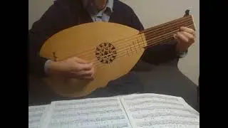 Une jeune fillette Schele Ms 1619 on an enhanced Thomann lute
