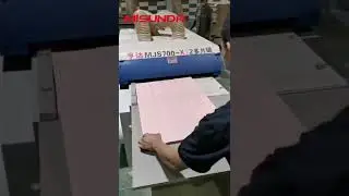 Plank multi blade rip saw machine