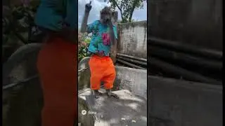 Monkey dance in Bali