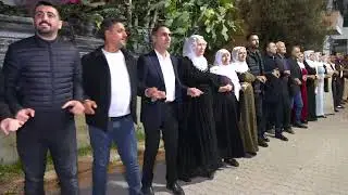 Rojhat Ronahi - Mirprodüksiyon - ( Ali Güngörün Nişan Töreni ) Segavi 2023
