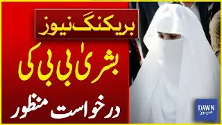 Big Relief for Bushra Bibi! Request for Absence Approved | Breaking News | Dawn News