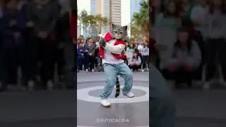 A Cat That Thinks It&rsquo;s a Pro Dancer 🐱🕺 #dance #song #spedup #music #epicai #speedsong